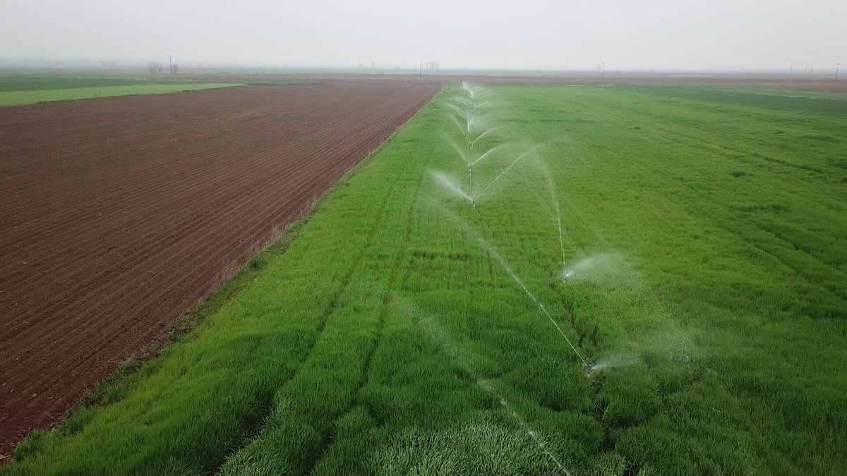 Karacabey'de Yeşildere Barajı Su Tutma İşlemi Başarıyla Tamamlandı