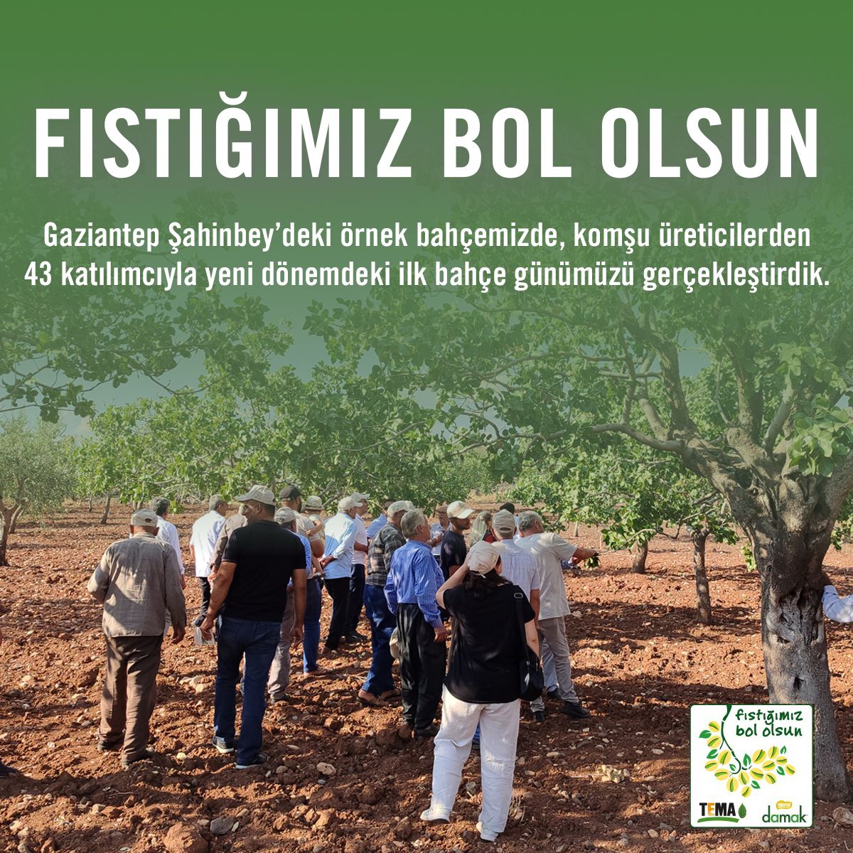 Fıstığımız Bol Olsun Projesi 4. Faz